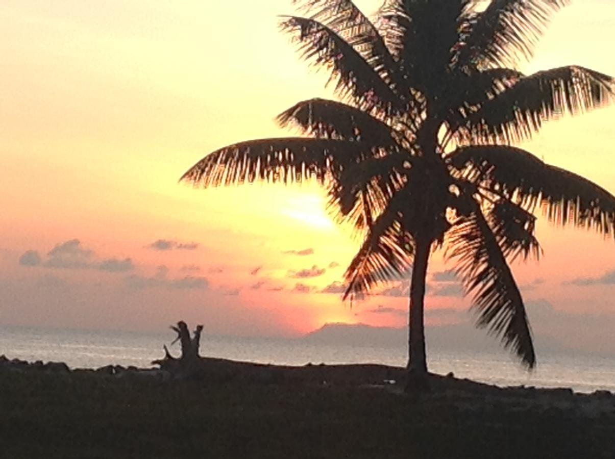 Villas Coco Beach Praslin Anse Kerlan Exterior foto